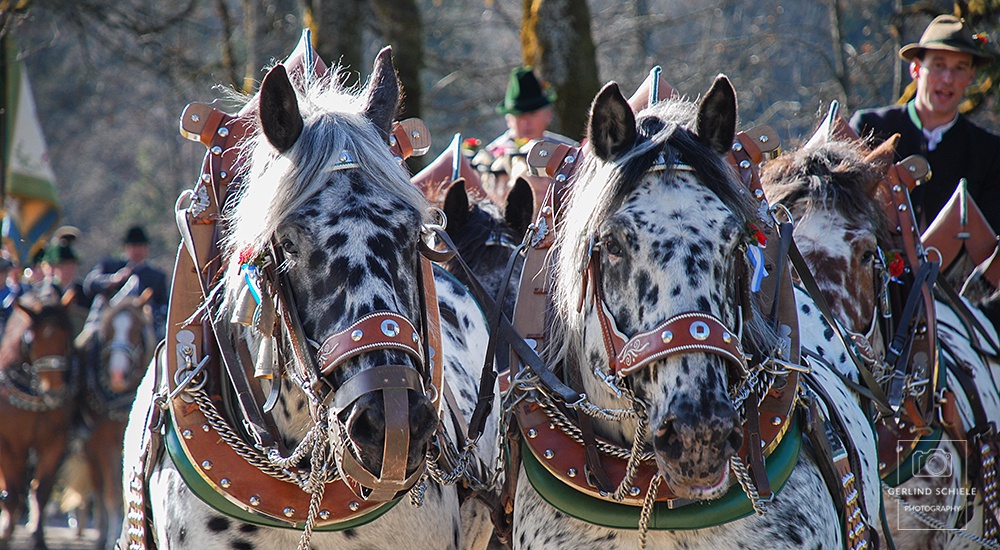 Tegernseer Impressionen - Copyright Gerlind Schiele Photography +49 (0) 170 - 908 85 85