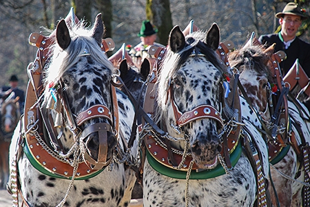 Tegernseer Impressionen - Copyright Gerlind Schiele Photography +49 (0) 170 - 908 85 85