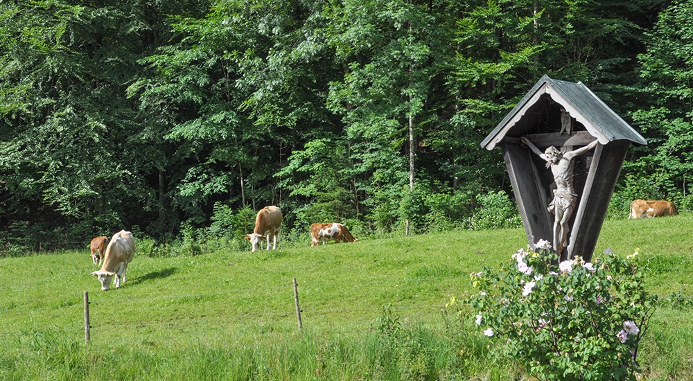 Kontakt Ferienwohnung Haus Pletscherer Kreuth